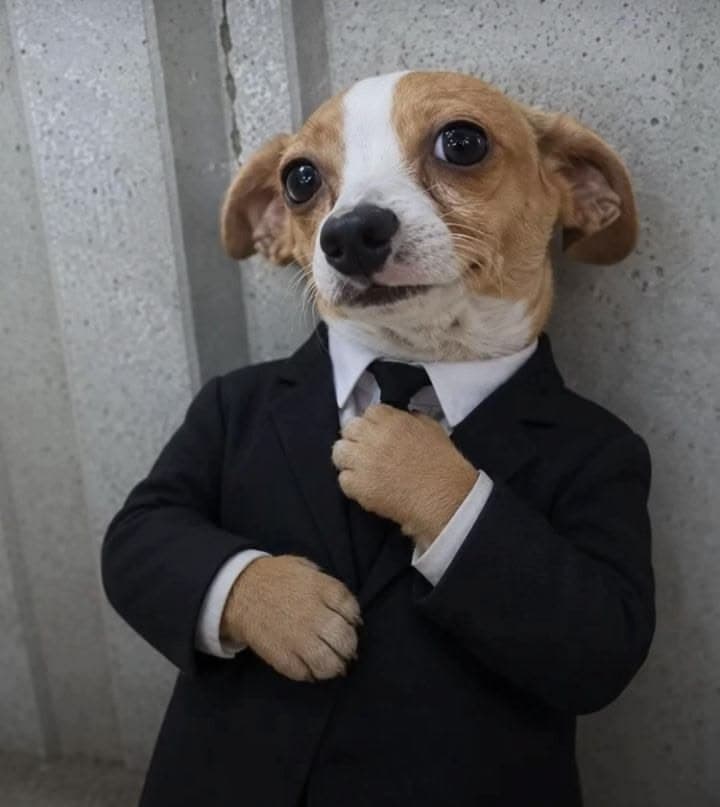 Quando contratar seu primeiro funcionário no SaaS (e quem contratar)